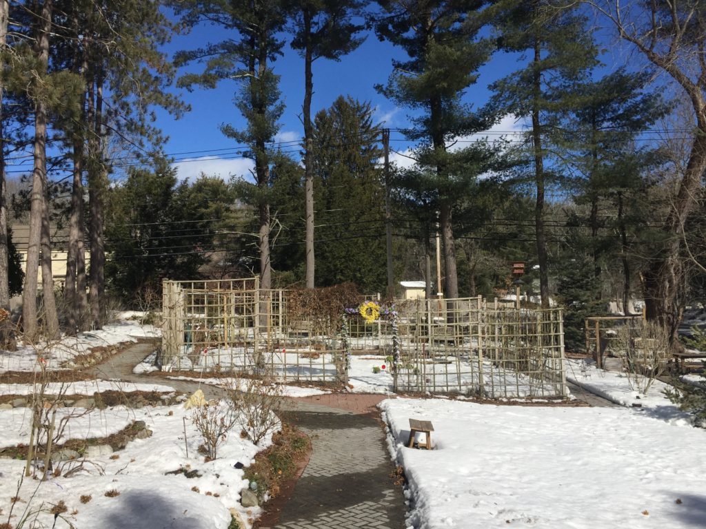 Wheelchair-Accessible Spring Garden