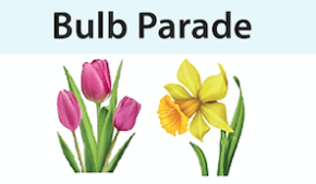 Bulb Parade Image