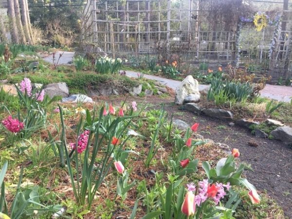Circle Garden Bulbs