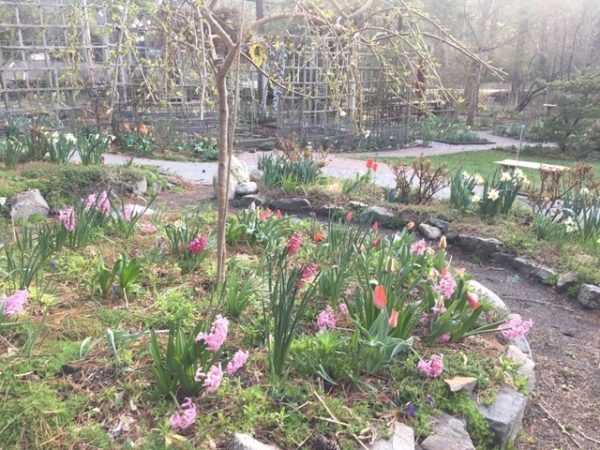 Circle Garden Bulbs, Accessible Trails
