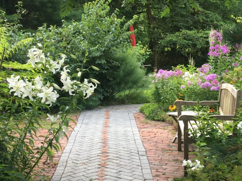 Broken Heart Patio, 8-4-21