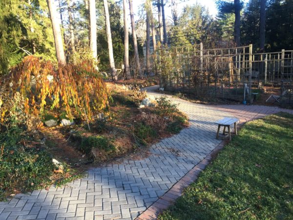 Accessible Cut Flower Garden