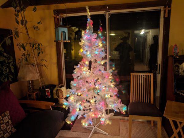 Bright Tree, at the Cottage
