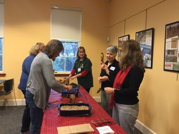 Pinecone Bird Feeder Creation Station