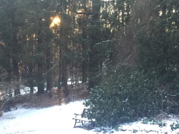 Sun Rising in the East, 12/27/21. 7:30am