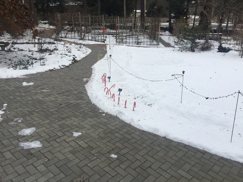 1/13/22 8am, Accessible Front Loop