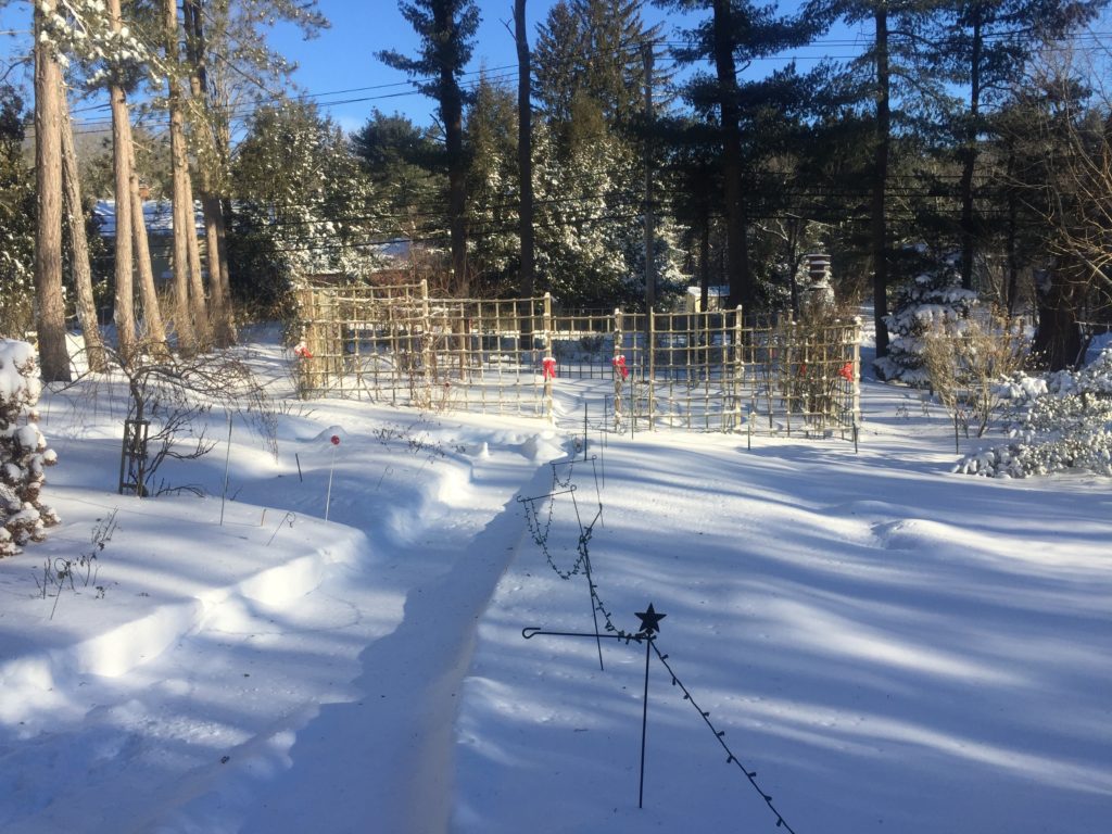 Front Garden Loop, Post Snow Storm