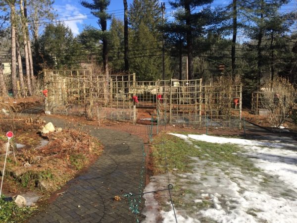 2/18/22 Accessible Trail is Free of Ice!