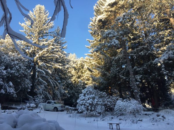 Front Garden & Parking, 3/10/22