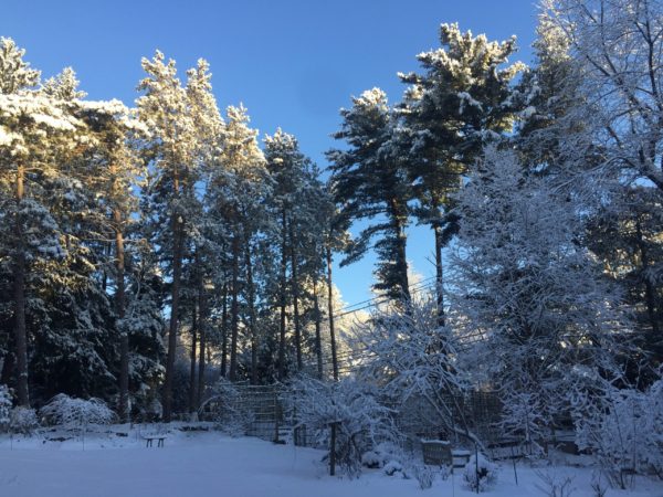 March Snow 3/9/22