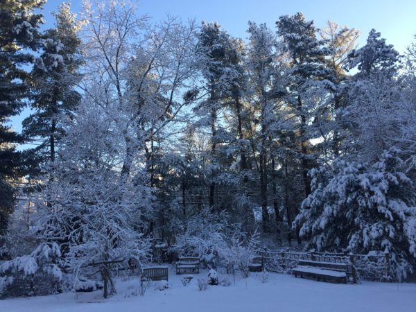 March Snow 3/10/22