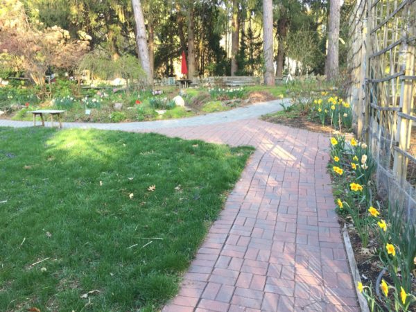 Access Trails near Kitchen Garden, 4/22/22