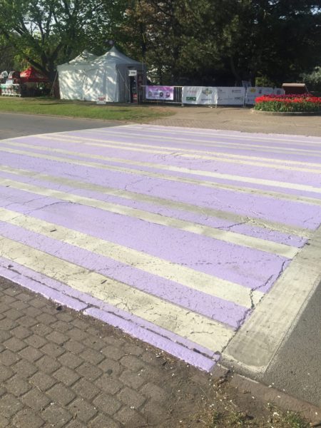 Lilac Crosswalk