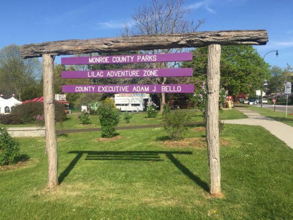 Lilac Adventure Zone Sign