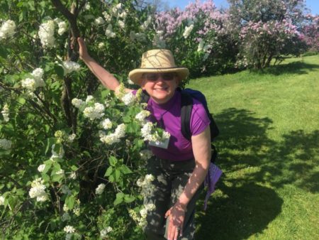 Mary in the Lilac Collection