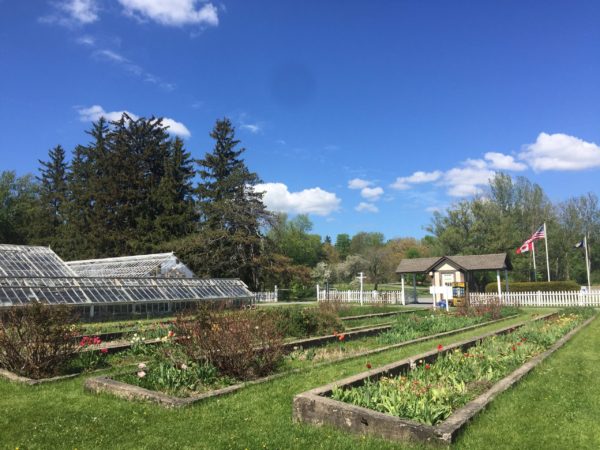 Sonnenberg Gardens