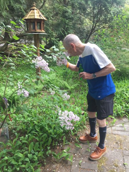 John Learned, Topsfield Resident, Smells 'Anabel' Lilac