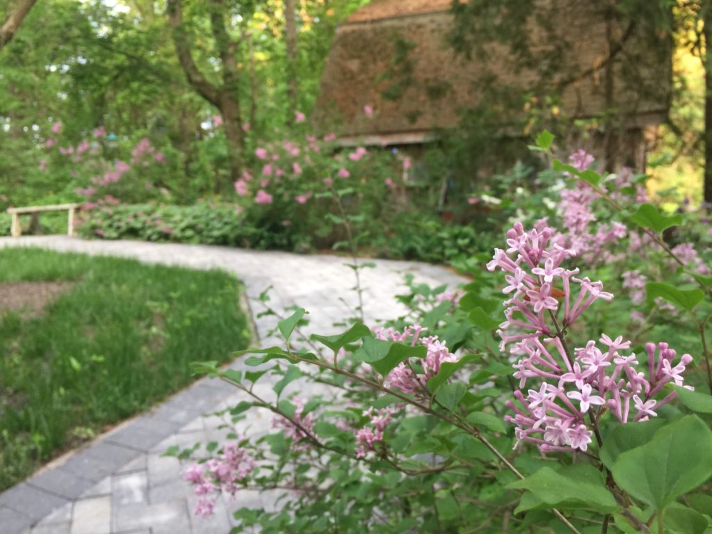 Palabin, Planted 2017, Plus Access!
