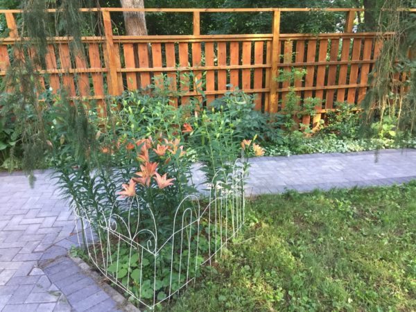 Mixed Lily Patch in Secret Garden is Successful!