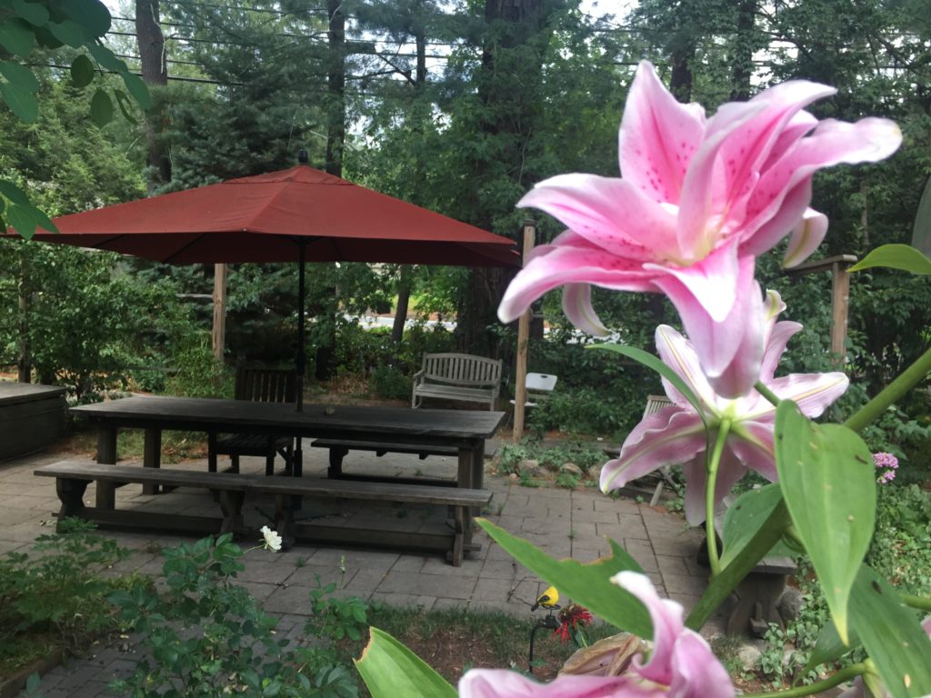 Rose Lily & Accessible Picnic Area
