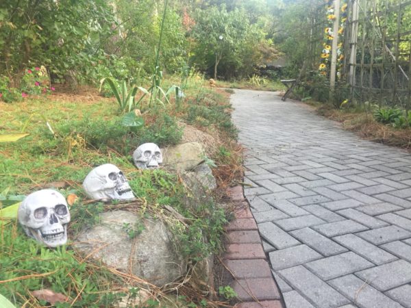 Skeleton Heads decorate the Perennial Bed adjacent to the Accessible Trail