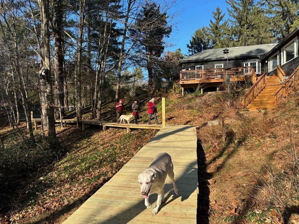 Our Forest Flowers Trail (140' boardwalk) under development.