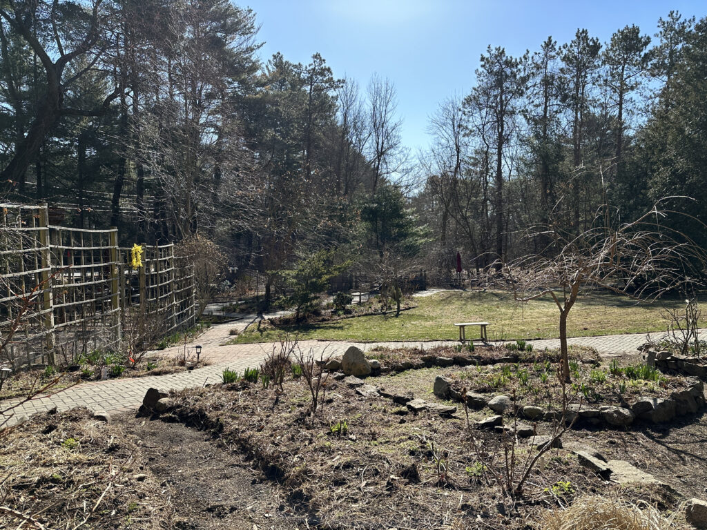 Accessible Garden Trails are clear for Early Spring Enjoyment!