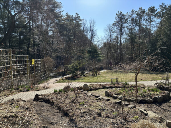 Accessible Garden Trails are clear for Early Spring Enjoyment!