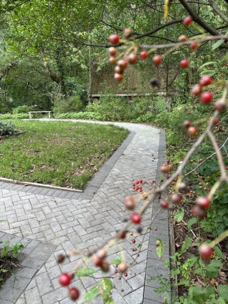 Crabapple Trees frame the Cottage Garden trail.