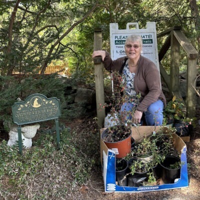 Ellen Dobson of N. Andover, donates plants!