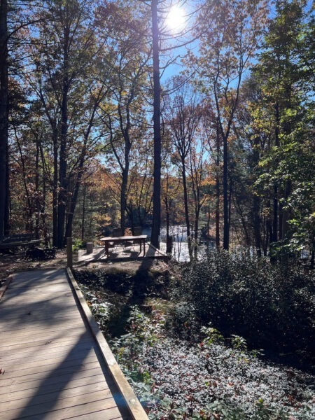 Forest Flowers Trail, in Development