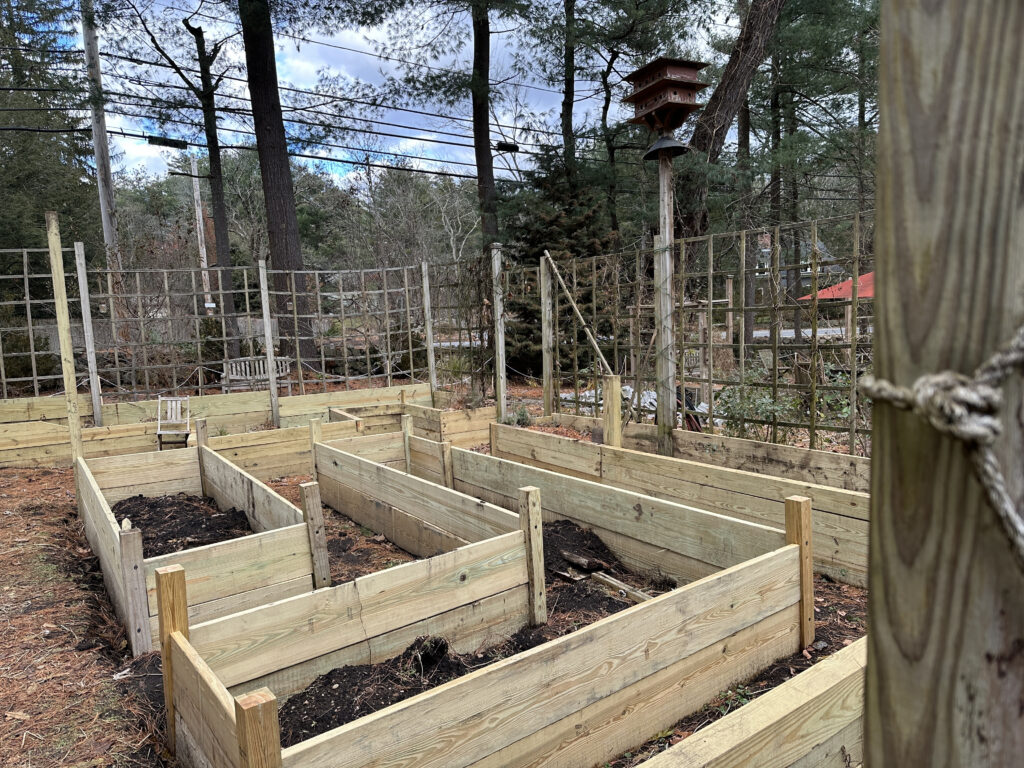 Raised Kitchen Garden Beds, Ready for Garden Soil!