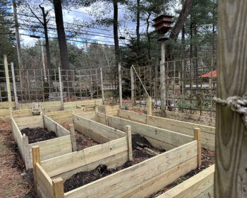 Raised Kitchen Garden Beds, Ready for Garden Soil!