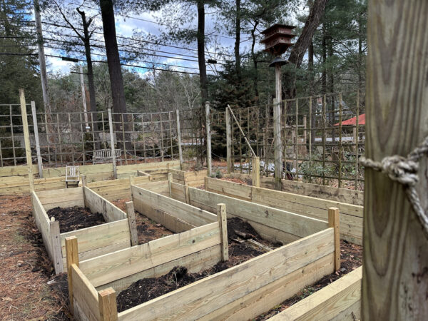 Raised Kitchen Garden Beds, Ready for Garden Soil!