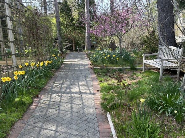 Orchard Ave