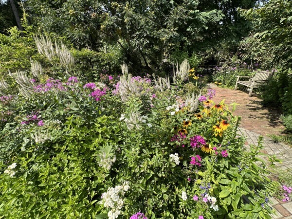 Pollinators love the diversity in our garden!