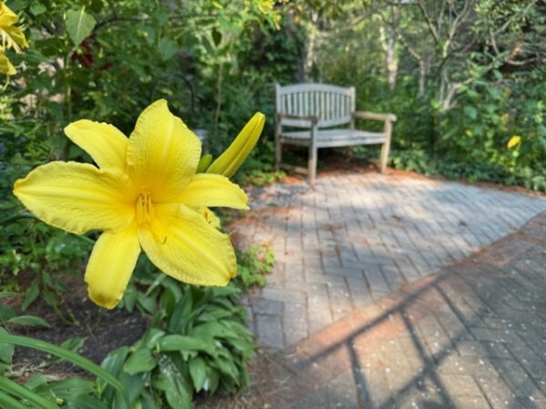 Seating area includes space for wheelchair-users to pull off the trail.