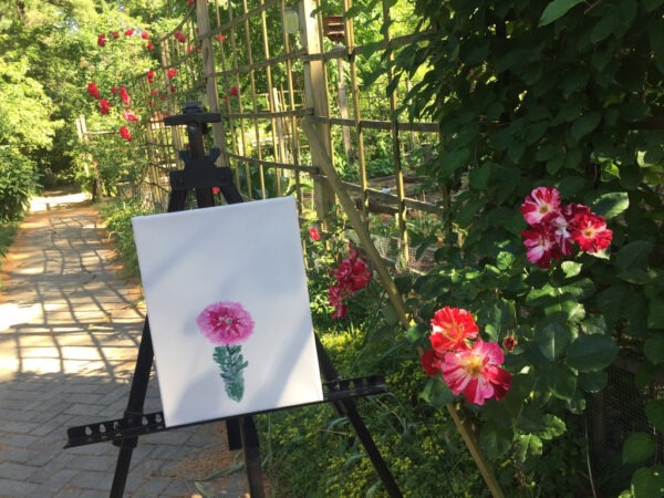 2022, Plein-Air Painting Group paints Roses!