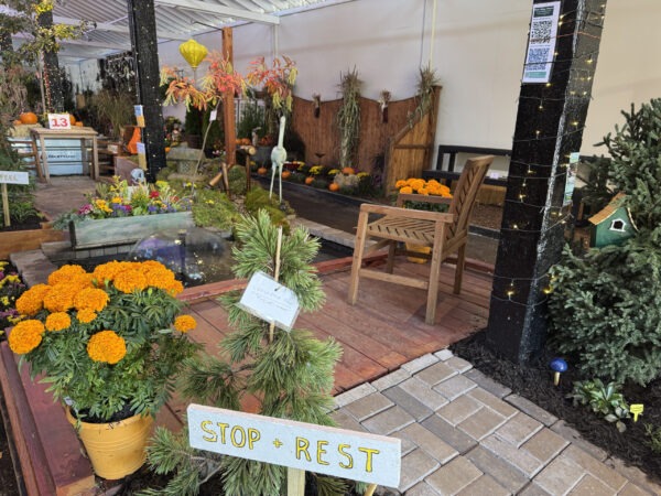 2025: Accessible Display, Topsfield Fair Flower Building, Rest-Stop-Ranch
