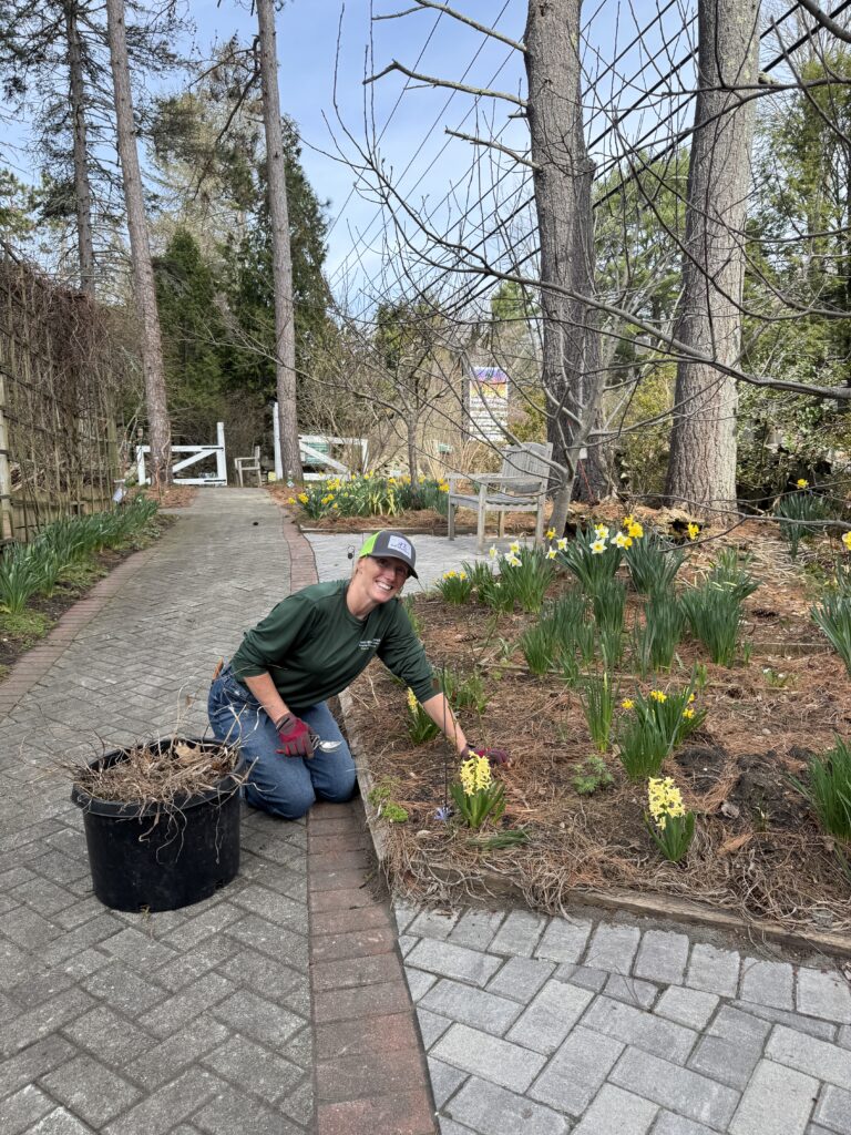 Julie, Garden Guru, weeds garden beds.