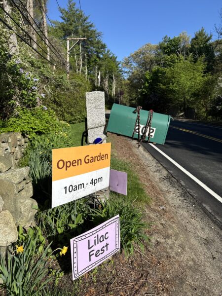 10am-4pm Today, Open Garden, Lilac Fest